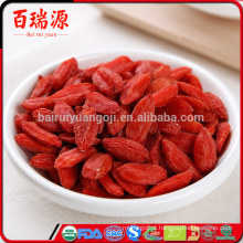 Excellen qualidade bagas de goji kentucky Economia bagas de goji crianças OEM Fabricar quanto tempo duram as bagas goji